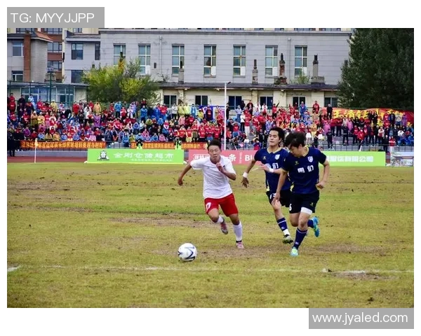 足球明星风采大揭秘及其精彩人生简介与图片展示