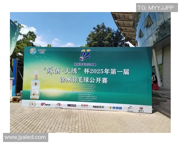 南京羽毛球队转型之路揭秘总决赛背后的奋斗与坚持