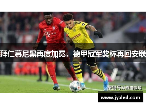 拜仁慕尼黑再度加冕，德甲冠军奖杯再回安联