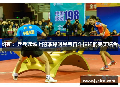 许昕：乒乓球场上的璀璨明星与奋斗精神的完美结合